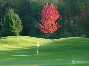 Nothing like fall golf