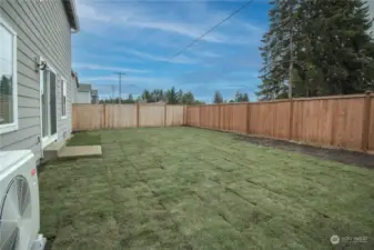 What a great yard!