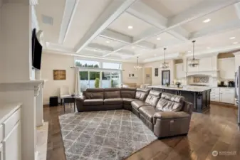 Open main floor family room big enough to seat the whole baseball team! Engineered hardwood floors, 10ft ceilings, box beamed ceiling with lots recessed of lighting, built-in Infinity speakers.