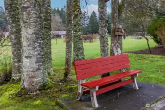 A lovely bench to sit on and relax with nature.