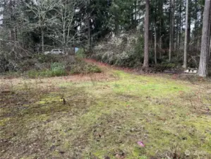 Cleared area on Lot 53