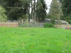Fenced back yard