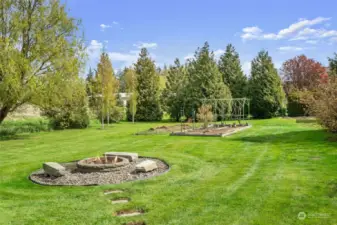 Large yard w/ firepit and garden full of blueberries and grapes