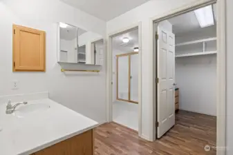 Primary bathroom with walk-in closet