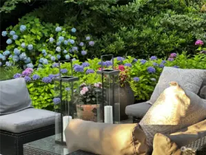 In spring, a stunning surprise awaits: a vibrant hydrangea garden, delighting with bursts of color and fragrance.