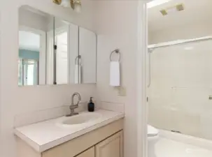 walk-in shower and toilet separated with a door
