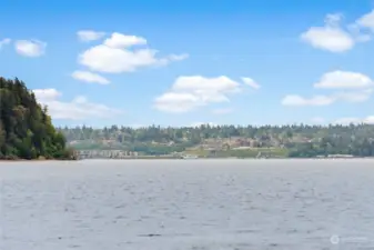 Check out the view of Point Defiance with the ferry service.  There is much to view in this active water area.
