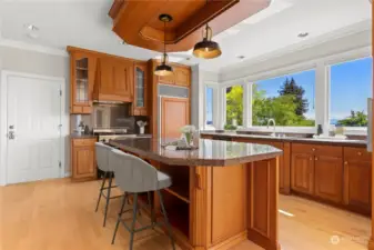 Virtually staged spacious kitchen with top of the line appliances.