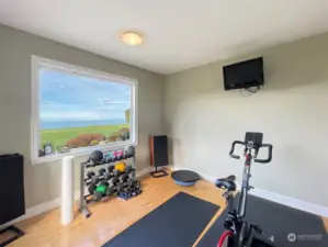 Exercise or Bedroom