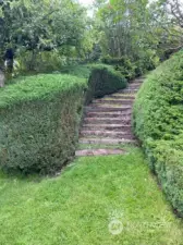 Original brick steps leading from the home at 1926 to the lot. Photo taken looking NE.