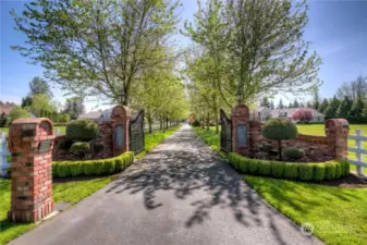 Picturesque privately gated and tree-lined drive...simply beautiful!