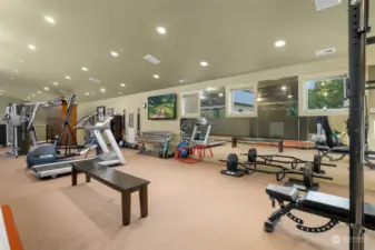 Large exercise area with mirrored walls, carpet, and custom built-in wood lockers, two large closets, 70’ Retractable Net cage – set-up for baseball/softball/golf, Elite eHack Attack electronic pitching machine, pitching nets, pitching/golf mat, targets.