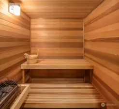 Lower level sauna