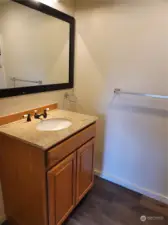 Sink in the bathroom.