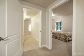 Second Lower level bedroom and hall