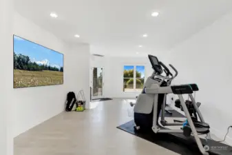 Downstairs family room/ gym