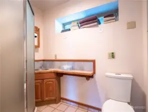 Lower level bath with shower