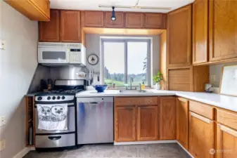 Kitchen with private views. Cabinets have slow close hinges.