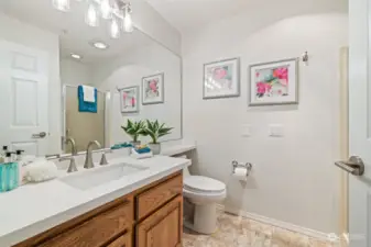 Updated Guest bathroom with Walk-In Shower
