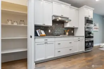 Ample storage and walk in pantry.