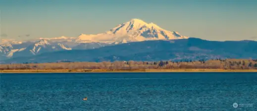 The views of Mount Baker never get old. It is different every day with the changes in the sky, water, and snow levels.