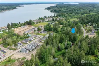Building lot on Allynview Drive, LakeLand Village.  Just above the town of Allyn on Case Inlet, South Puget Sound.