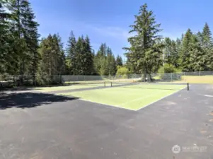 Tennis/pickle ball courts.