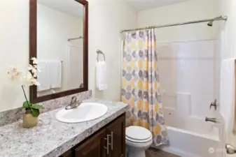 The main hall bath is just as gorgeous as the rest of the home!