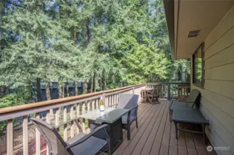 As you can see, there's plenty of space up here to entertain or enjoy a quiet evening after a long day! Just beyond the end of the deck is a gated stairway leading to the lower deck and backyard.