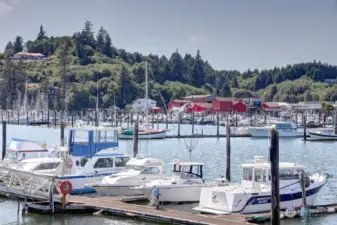 The Port of Ilwaco is just a few miles away. This is a great fishing port for charters and personal boats—lots of shopping and good restaurants.