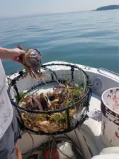 Great Crabbing steps away