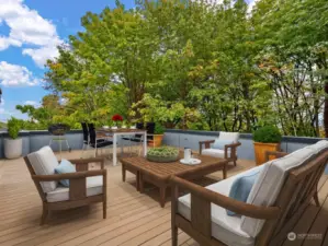 Wrap-around rooftop deck w/ territorial and city views.