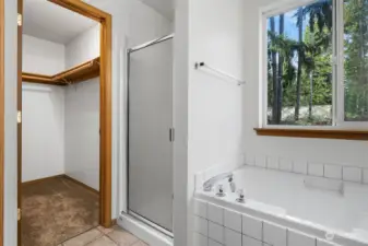 Soaking tub and separate walk-in shower. Don't forget the walk-in closet with shelving/rods.