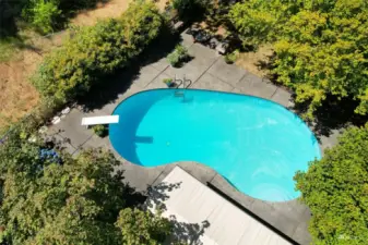 Wonderful inground pool