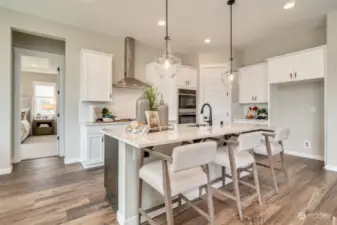 Gourmet island kitchen with induction cooktop and range hood included.