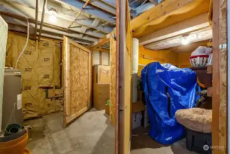 Basement with a really big, secure storage unit for each tenant + an extra space for joint storage + garage perfect for home gym or bike and gear storage or flex space!!!