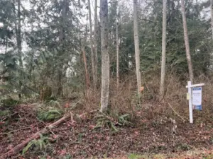 Beautiful 1 acre wooded lot is ready for your vision!