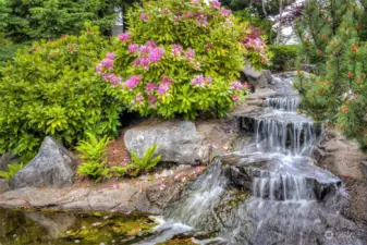 Another of one of the Water falls that makes this community one of the best landscaped 55+ communities in Maple Valley