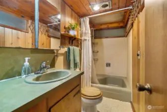 The second bathroom features a small tub and pine paneling.