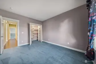 Bedroom on main level with smaller walk in closet.