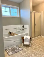 Jetted Soaking Bathtub and individual shower.