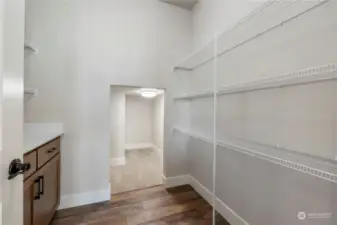 Large walk in Butlers Pantry and extra under stair storage.