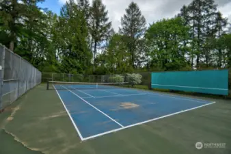 Pickleball/Tennis Court in Park #4