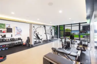 Lower level professional quality gym. This space can also be re-configured as a fourth bedroom if desired.   Level walk out to back yard and patio area.