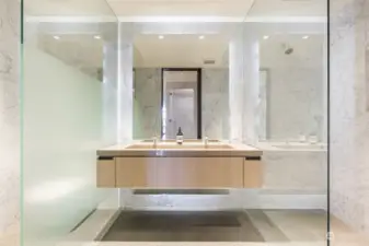 Lower level spa bathroom with shower...stunning