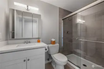 Newly remodeled bathroom with step-in shower.