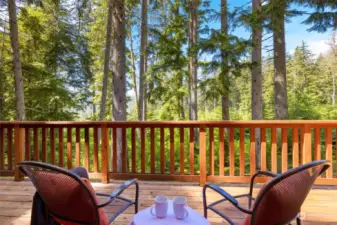 Main floor deck boasts views out to nature, sit and watch the wildlife stroll by