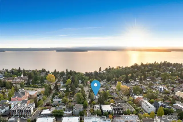 Set in an ideal location, these homes are seconds from Lincoln Park, Lowman Beach Park, Caffe Ladro, Taquitos Feliz food truck, the Westy, West Seattle Golf Course & all of California Ave’s classics!