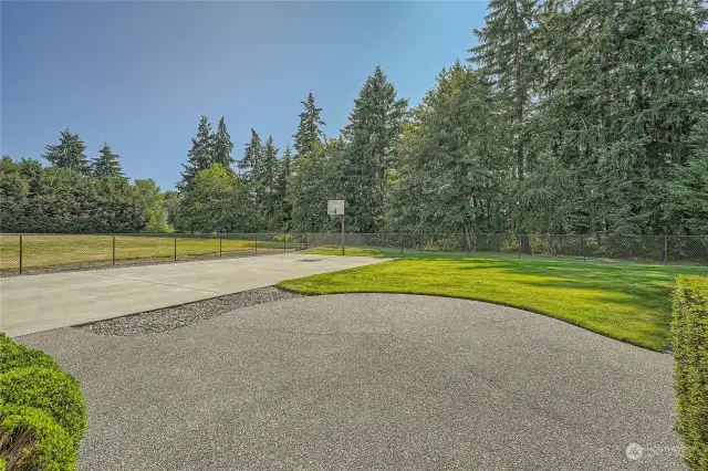 fenced portion of back yard with sports court