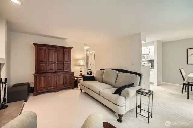 Living room faces south and gets lots of natural light